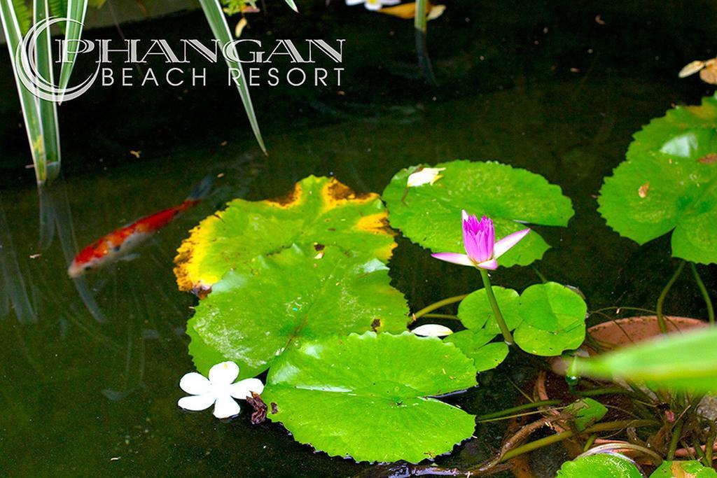 Phangan Beach Resort Baan Tai Eksteriør billede